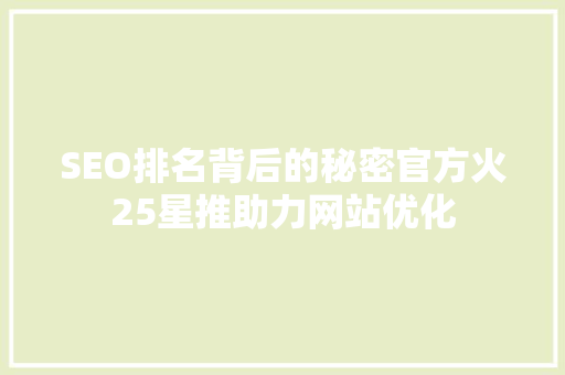 SEO排名背后的秘密官方火25星推助力网站优化  第1张