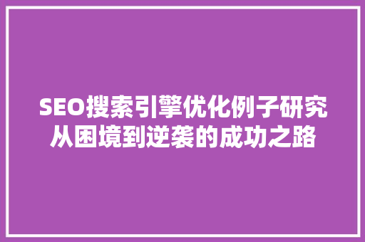 SEO搜索引擎优化例子研究从困境到逆袭的成功之路