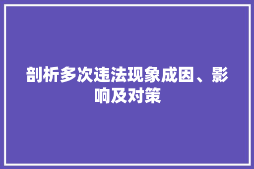 剖析多次违法现象成因、影响及对策  第1张