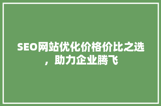 SEO网站优化价格价比之选，助力企业腾飞