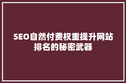 SEO自然付费权重提升网站排名的秘密武器