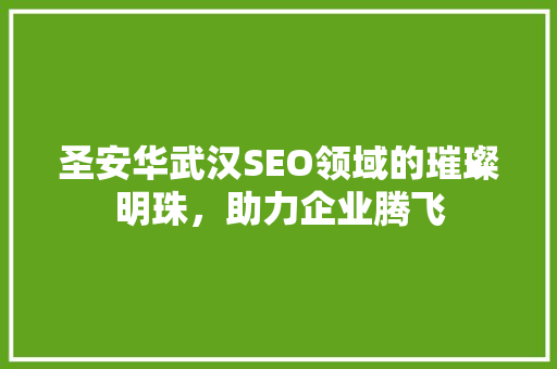 圣安华武汉SEO领域的璀璨明珠，助力企业腾飞