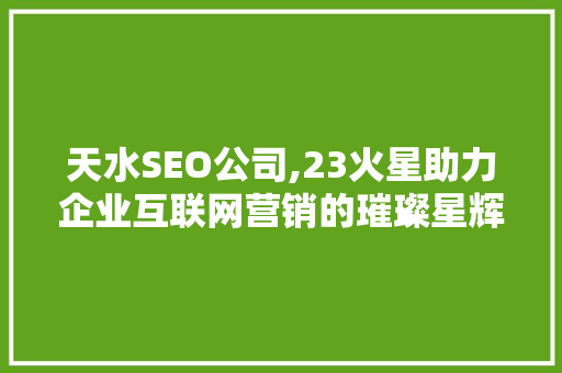 天水SEO公司,23火星助力企业互联网营销的璀璨星辉