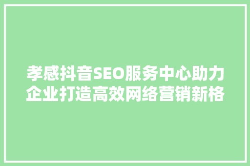 孝感抖音SEO服务中心助力企业打造高效网络营销新格局