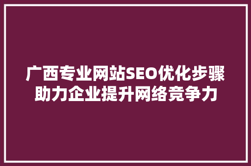 广西专业网站SEO优化步骤助力企业提升网络竞争力