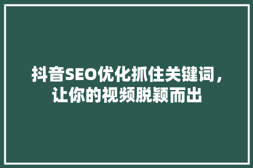抖音SEO优化抓住关键词，让你的视频脱颖而出  第1张