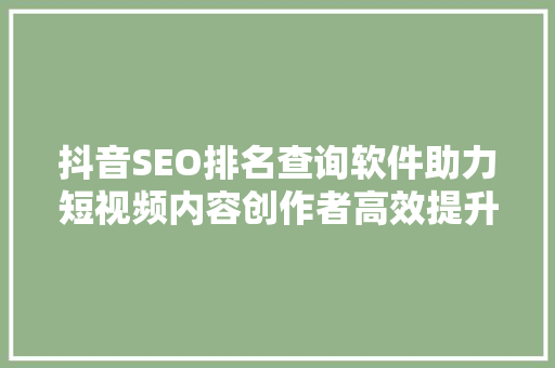 抖音SEO排名查询软件助力短视频内容创作者高效提升曝光率