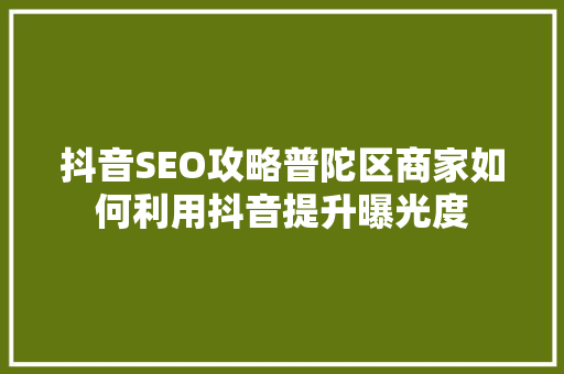 抖音SEO攻略普陀区商家如何利用抖音提升曝光度