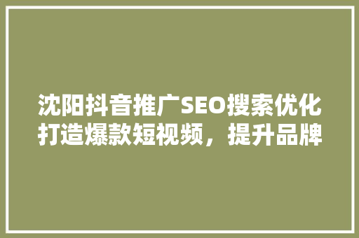 沈阳抖音推广SEO搜索优化打造爆款短视频，提升品牌影响力