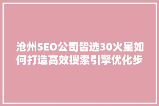 沧州SEO公司皆选30火星如何打造高效搜索引擎优化步骤