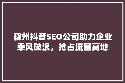 滁州抖音SEO公司助力企业乘风破浪，抢占流量高地