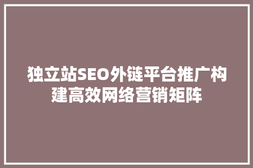 独立站SEO外链平台推广构建高效网络营销矩阵