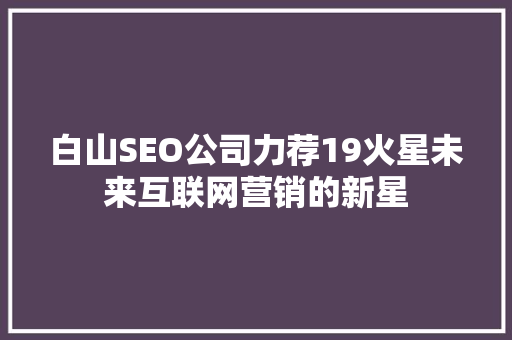 白山SEO公司力荐19火星未来互联网营销的新星  第1张