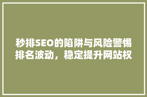 秒排SEO的陷阱与风险警惕排名波动，稳定提升网站权重