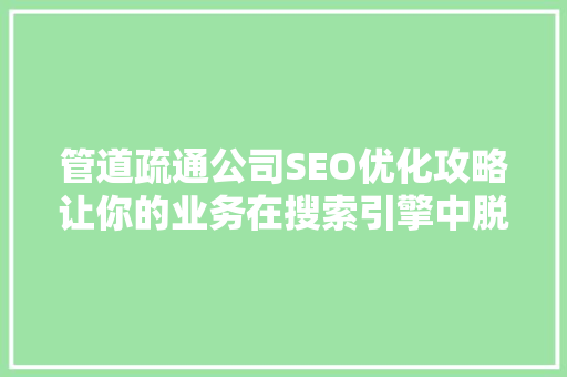 管道疏通公司SEO优化攻略让你的业务在搜索引擎中脱颖而出