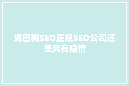 海巴狗SEO正规SEO公司还是另有隐情