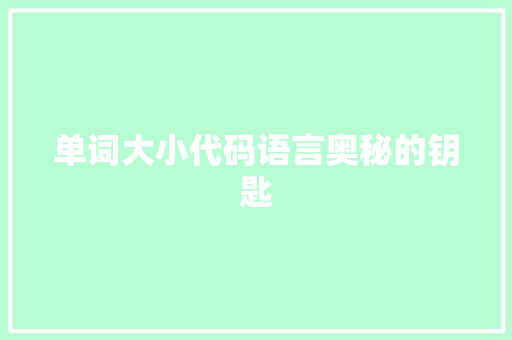 单词大小代码语言奥秘的钥匙