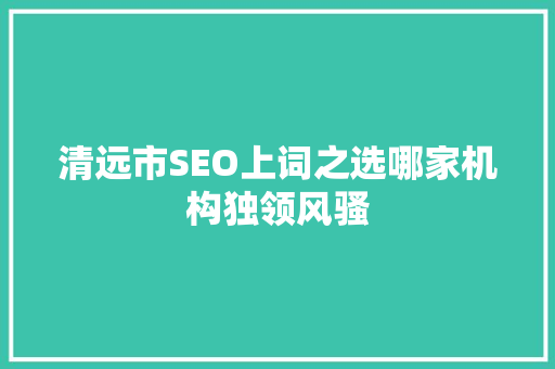 清远市SEO上词之选哪家机构独领风骚