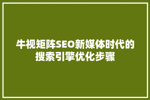 牛视矩阵SEO新媒体时代的搜索引擎优化步骤