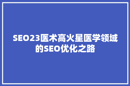 SEO23医术高火星医学领域的SEO优化之路