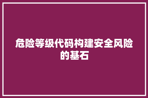 危险等级代码构建安全风险的基石