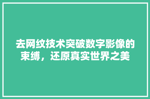 去网纹技术突破数字影像的束缚，还原真实世界之美