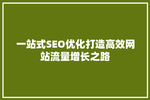 一站式SEO优化打造高效网站流量增长之路