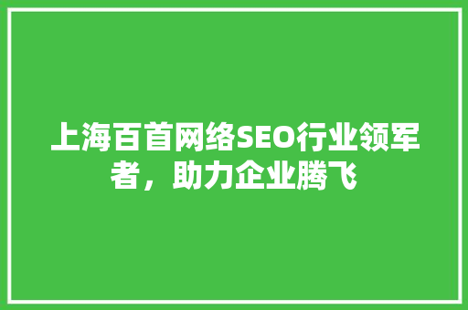 上海百首网络SEO行业领军者，助力企业腾飞