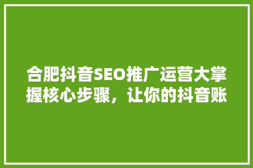 合肥抖音SEO推广运营大掌握核心步骤，让你的抖音账号脱颖而出