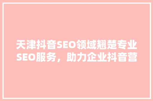 天津抖音SEO领域翘楚专业SEO服务，助力企业抖音营销