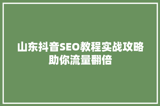 山东抖音SEO教程实战攻略助你流量翻倍
