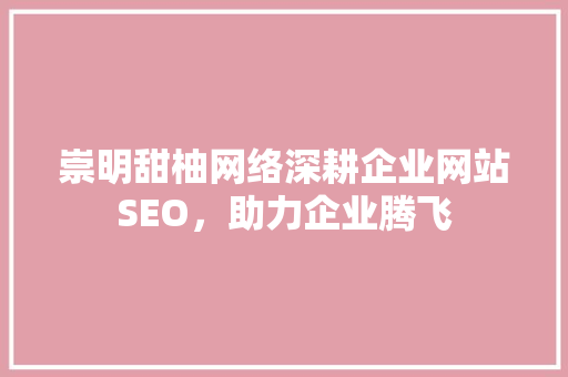 崇明甜柚网络深耕企业网站SEO，助力企业腾飞