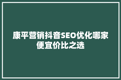 康平营销抖音SEO优化哪家便宜价比之选