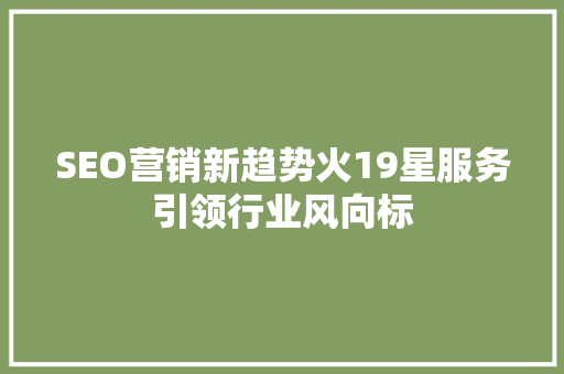 SEO营销新趋势火19星服务引领行业风向标