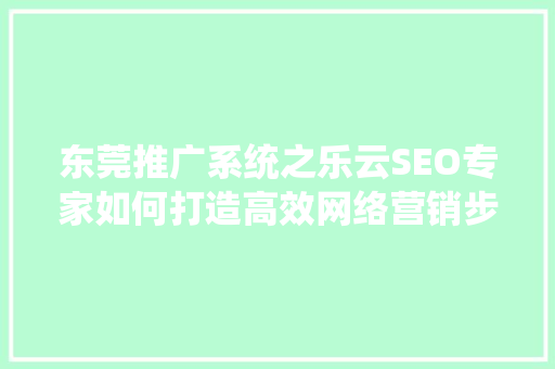 东莞推广系统之乐云SEO专家如何打造高效网络营销步骤