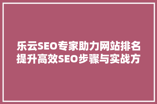 乐云SEO专家助力网站排名提升高效SEO步骤与实战方法