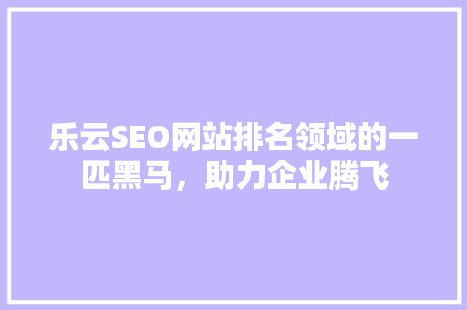 乐云SEO网站排名领域的一匹黑马，助力企业腾飞