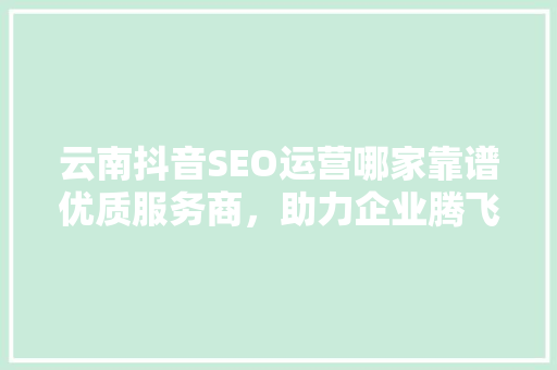 云南抖音SEO运营哪家靠谱优质服务商，助力企业腾飞
