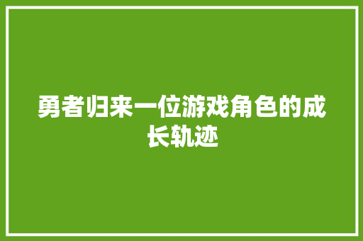 勇者归来一位游戏角色的成长轨迹