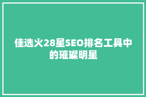 佳选火28星SEO排名工具中的璀璨明星