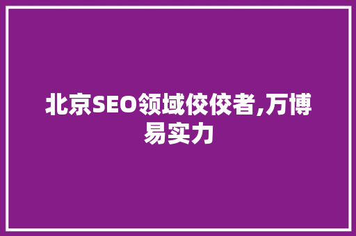 北京SEO领域佼佼者,万博易实力