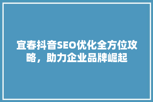 宜春抖音SEO优化全方位攻略，助力企业品牌崛起