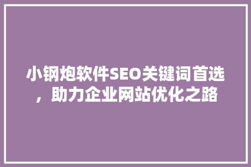 小钢炮软件SEO关键词首选，助力企业网站优化之路