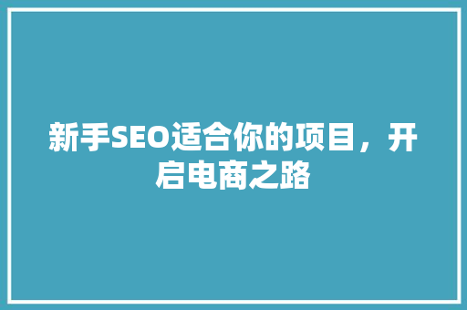 新手SEO适合你的项目，开启电商之路