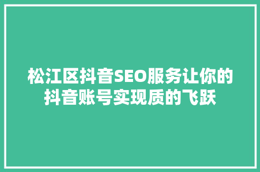松江区抖音SEO服务让你的抖音账号实现质的飞跃  第1张