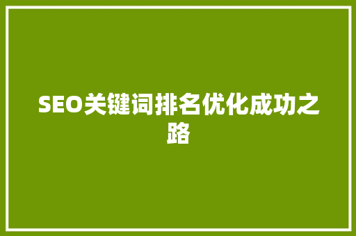 SEO关键词排名优化成功之路