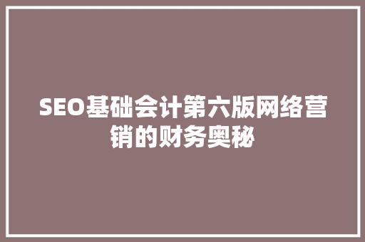 SEO基础会计第六版网络营销的财务奥秘