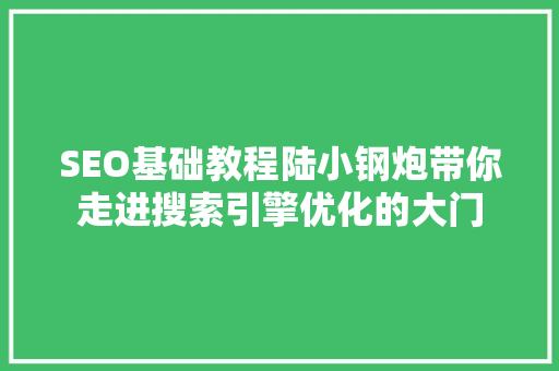 SEO基础教程陆小钢炮带你走进搜索引擎优化的大门