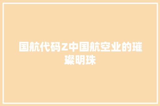 国航代码Z中国航空业的璀璨明珠