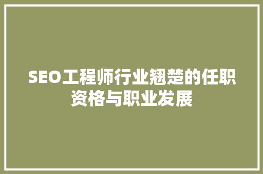 SEO工程师行业翘楚的任职资格与职业发展